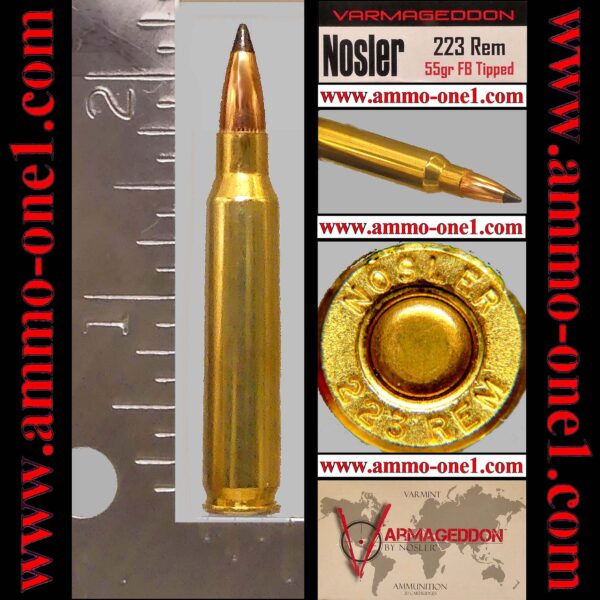 (a005) .223 remington by "nosler" h/s, new, varmageddon, 55gr. ballistic tip, one cartridge not a box. lis
