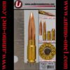 .338 razorback wildcat by underwood ammo company, usa, “live”, one cartridge not a box.